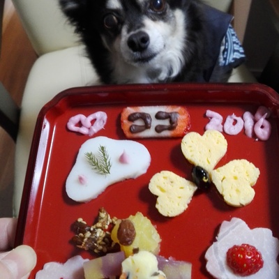 Thumb 400x400 2637c41fc6fd8e282d84d7f6e04a2690