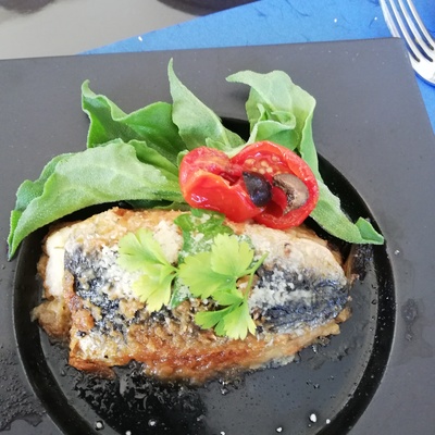 Thumb 400x400 85496939c4599a5b666a9de9f596ff5a